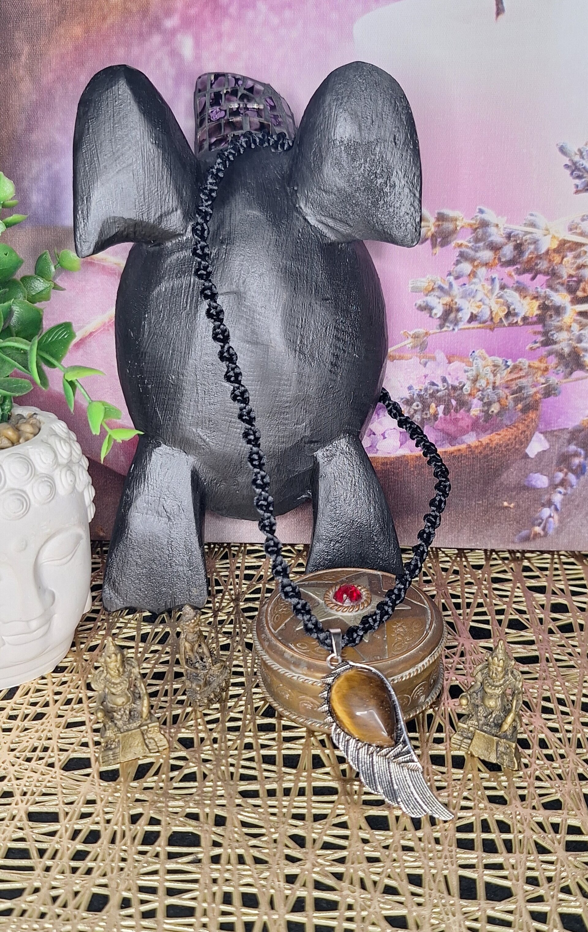 Ala ojo de tigre - 2