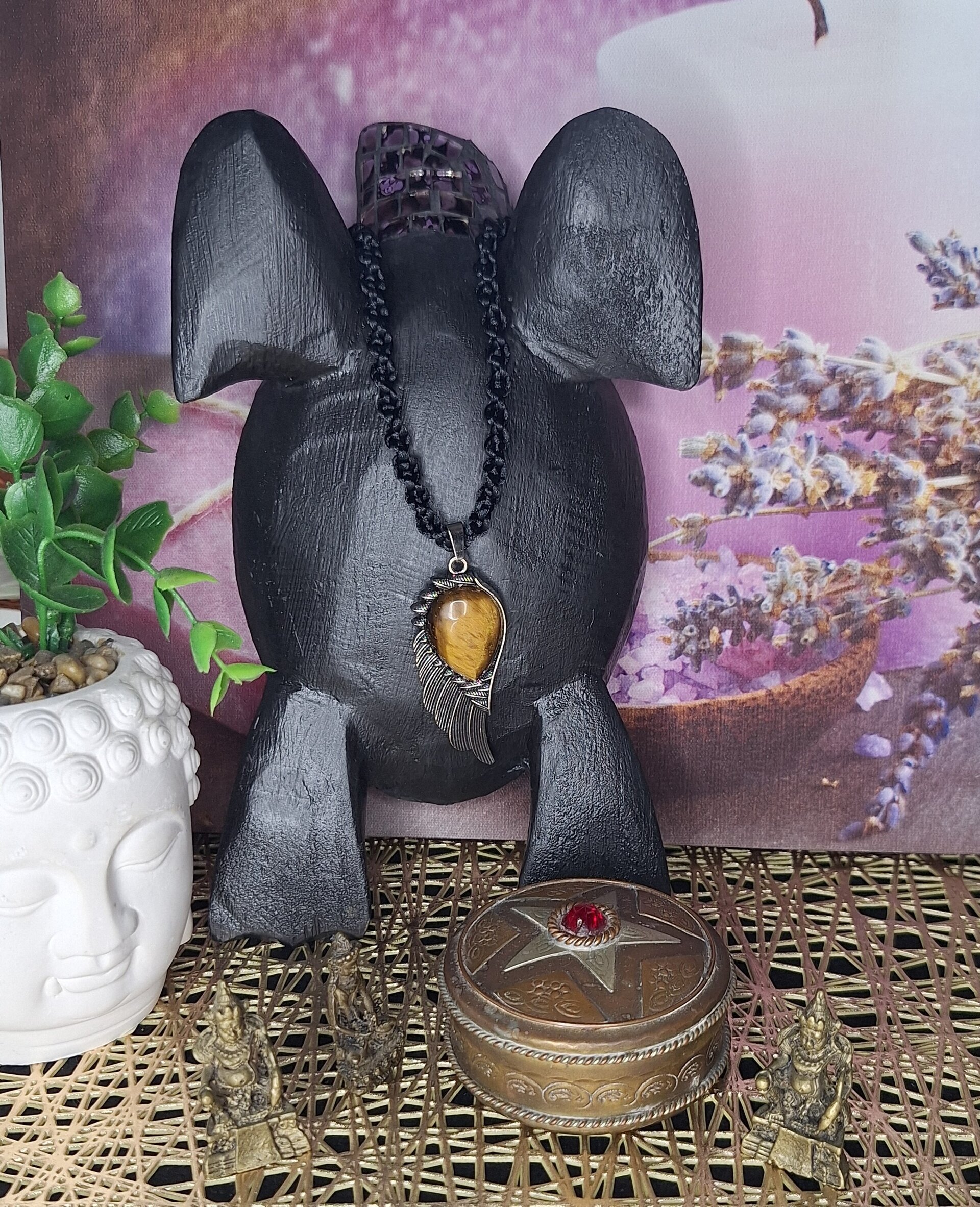 Ala ojo de tigre - 1